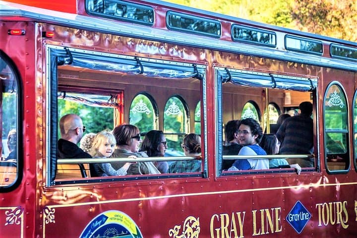 Asheville Hop-On Hop-Off Trolley: 90-Minute City Highlights & History photo 6