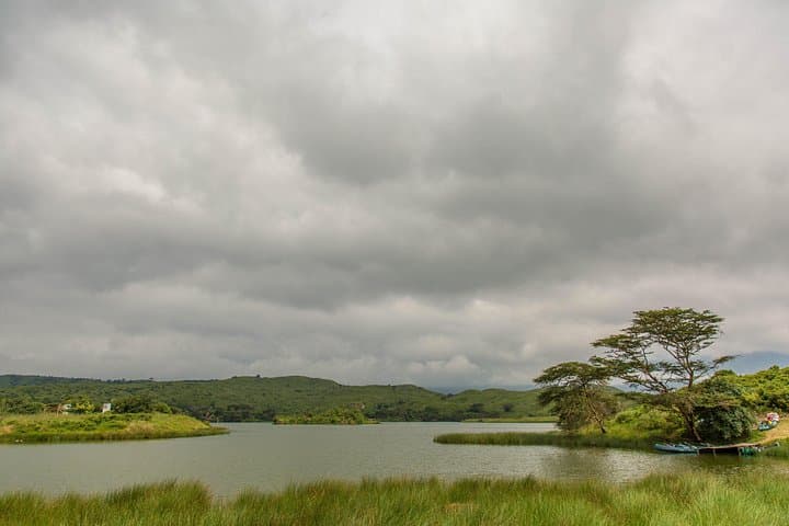 Arusha National Park Day Safari in Little Red Rover — Intimate Wildlife Drive photo 4