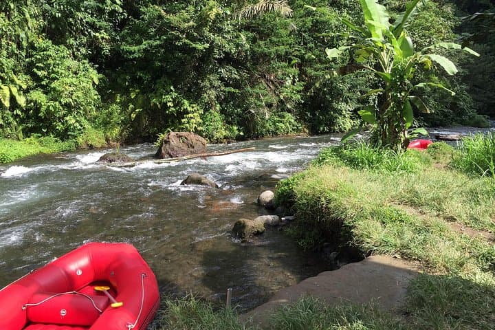 Extreme Adventure Bali: Jungle ATV, Ayung River Rafting & Ubud Monkey Forest photo 4