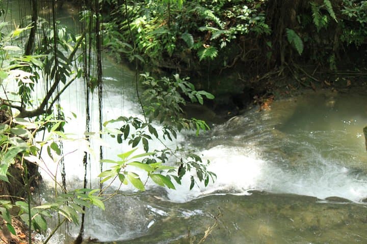 Benta River Falls and Rick's Cafe Day Trip from Montego Bay: Waterfalls, Cliff Views & Mud Baths photo 5
