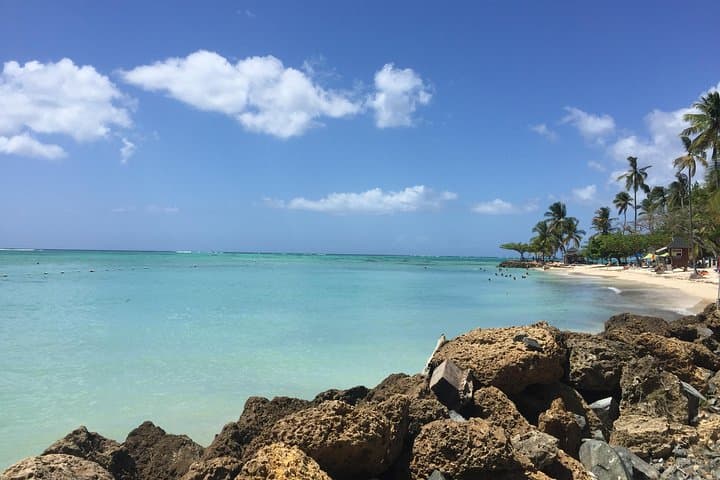 German-Speaking Tobago Island Tour: Forts, Beaches & Local Lunch