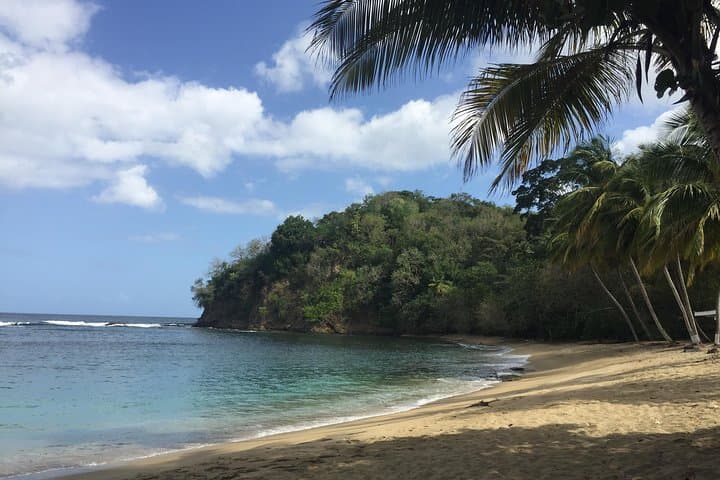 German-Speaking Tobago Island Tour: Forts, Beaches & Local Lunch photo 4