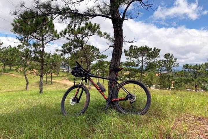 Crazy 8 Mountain Bike Tour from Da Lat — 37km Pine-Forest Singletrack Adventure photo 2