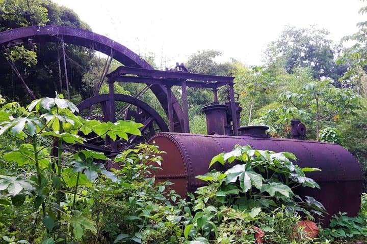 German-Speaking Tobago Island Tour: Forts, Beaches & Local Lunch photo 5