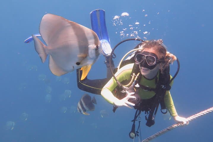 2-Day PADI Advanced Open Water Course on Koh Tao — Deep, Night & Navigation Dives photo 3