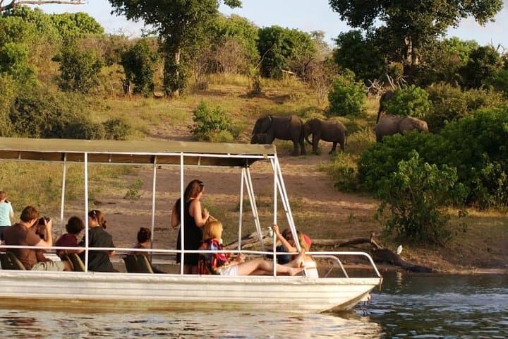 Chobe Day Trip from Victoria Falls — River Cruise & Big Game Drive photo 3