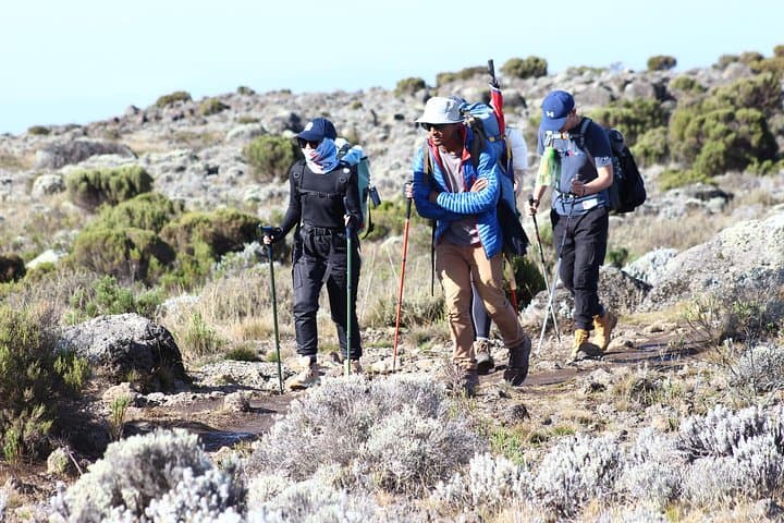 Kilimanjaro Machame Route: 6-Day Summit Trek from Machame Gate to Uhuru Peak photo 2
