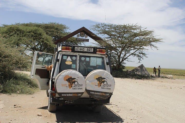 Day Hike on Kilimanjaro: Marangu Route to Mandara Hut (1-Day) photo 2
