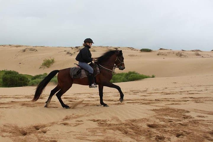 Horseback Riding Agadir: Dunes, Eucalyptus & Oued Souss Wildlife Ride