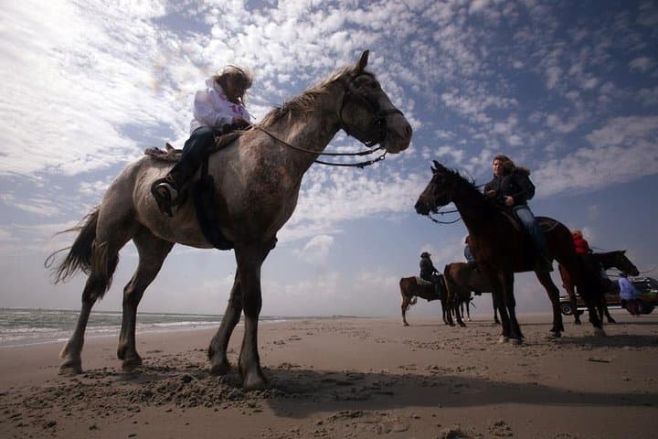 Horseback Riding Agadir: Dunes, Eucalyptus & Oued Souss Wildlife Ride photo 2