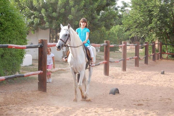 Horseback Riding Agadir: Dunes, Eucalyptus & Oued Souss Wildlife Ride photo 3