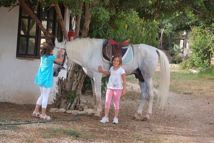 Horseback Riding Agadir: Dunes, Eucalyptus & Oued Souss Wildlife Ride photo 4