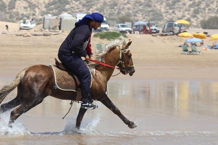 Horseback Riding Agadir: Dunes, Eucalyptus & Oued Souss Wildlife Ride photo 6