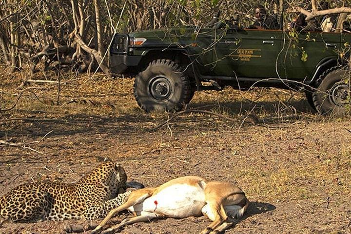 Jhalana Leopard Safari: Morning and Evening Gypsy Drives in Jaipur photo 2