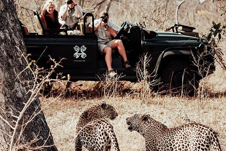 Jhalana Leopard Safari: Morning and Evening Gypsy Drives in Jaipur photo 3