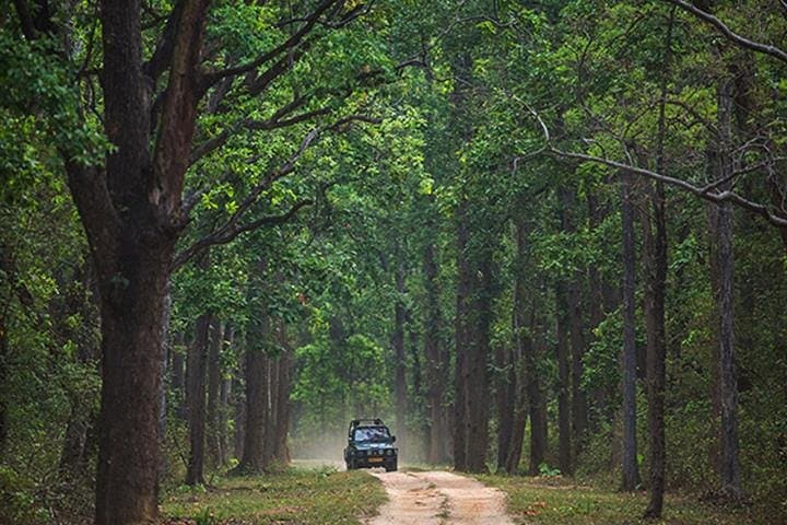 Jhalana Leopard Safari: Morning and Evening Gypsy Drives in Jaipur photo 4