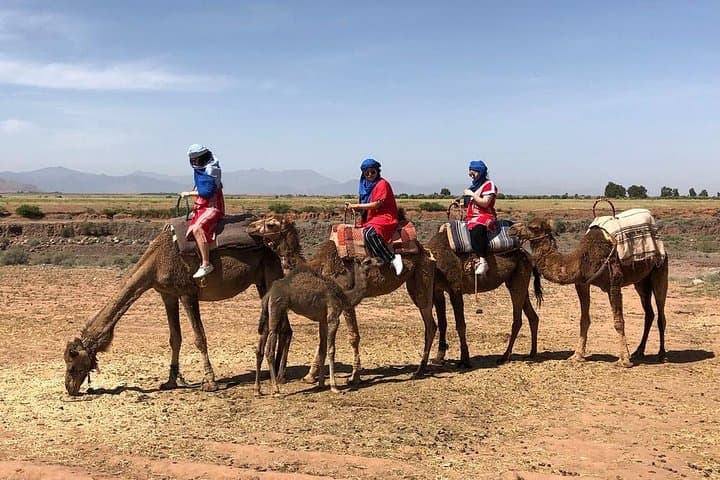 Berber Villages, Camel Ride & Waterfall: Atlas Mountains Day Trip from Marrakech photo 4