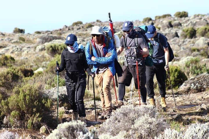Kilimanjaro Machame Route: 7-Day Summit Trek from Moshi to Uhuru Peak photo 3
