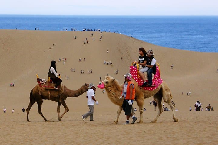 Dubai Evening Desert Safari: Dune Bashing, Camel Rides & BBQ Sunset Experience