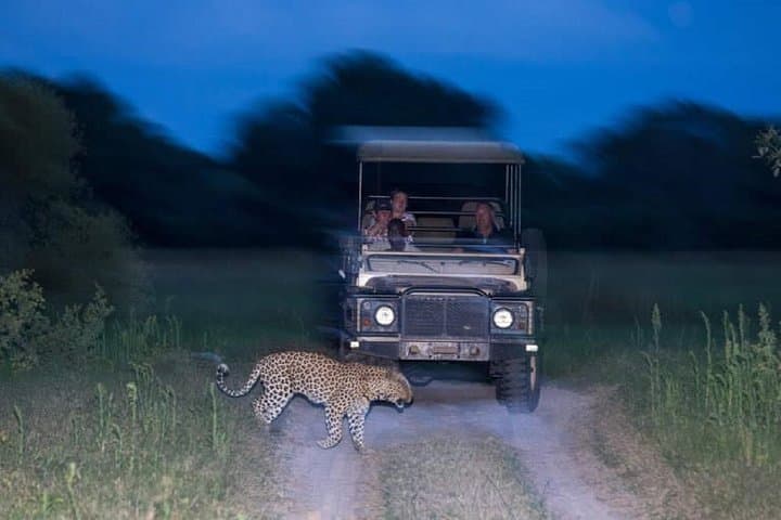Twilight Open-Car Game Safari at Victoria Falls — Evening Wildlife Drives & Night Encounters photo 2