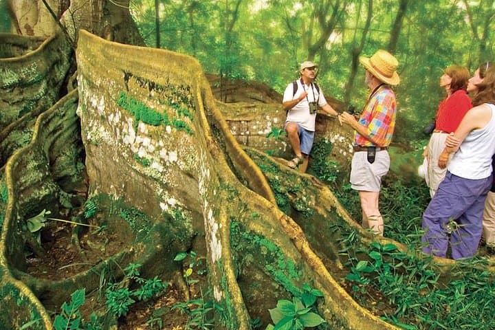 Sleeping at Sirena: Overnight Corcovado Adventure from Drake Bay photo 3