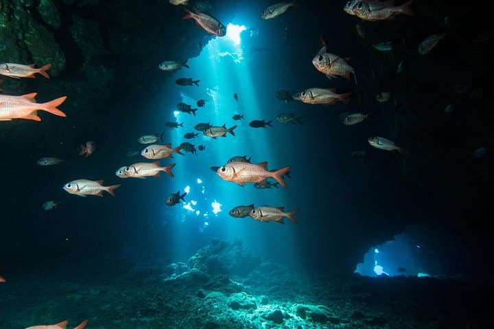 Two-Tank Dive to Lanai Cathedrals — Small-Group Certified Trip from Lahaina