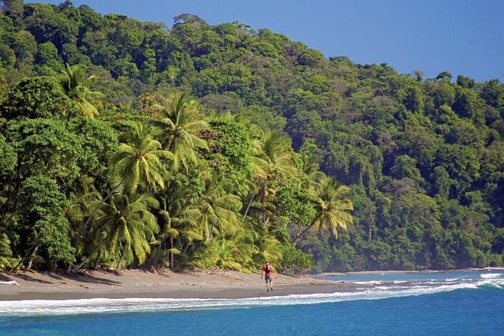 Overnight in Sirena: 2-Day Corcovado Jungle Trek from Puerto Jiménez photo 2