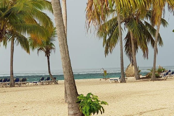 Catalina Island Snorkeling: Full-Day Reef Excursion from Punta Cana photo 2