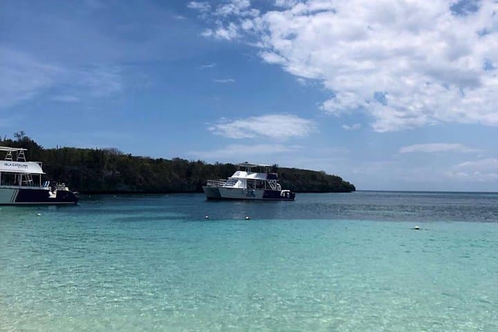 Catalina Island Snorkeling: Full-Day Reef Excursion from Punta Cana photo 6