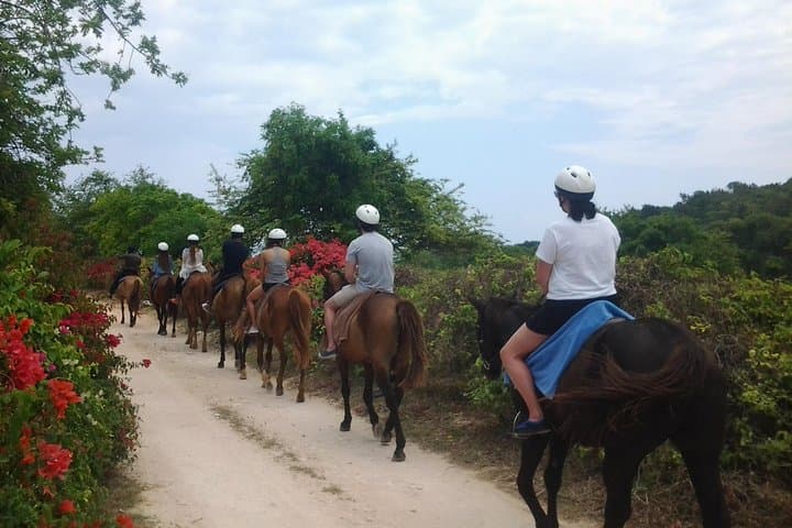 Blue Hole & Ocean Horseback Ride from Montego Bay — Jump, Swim and Ride in Ocho Rios photo 2