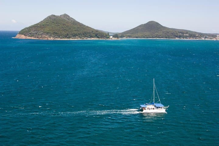 Sail with Port Stephens' Bottlenose Dolphins: 90-Minute Cruise Aboard 'Imagine' photo 6