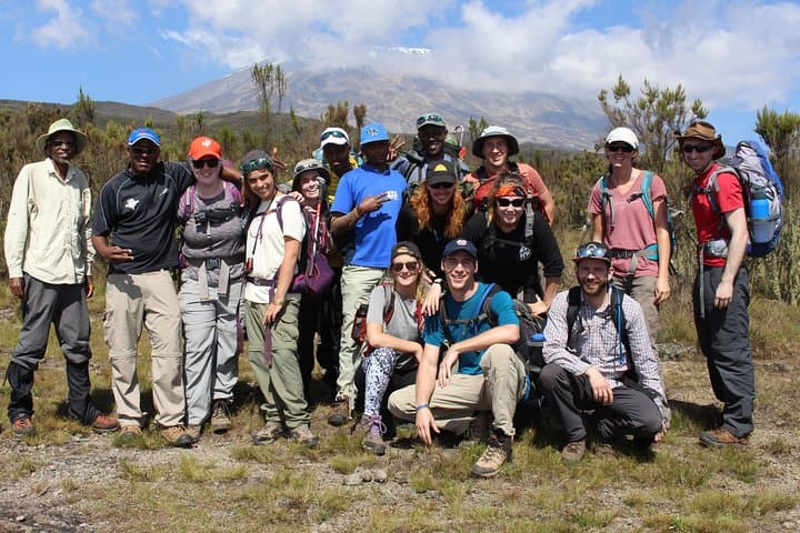 Lemosho Route Kilimanjaro: 7-Day Summit Trek from Forest to Uhuru Peak