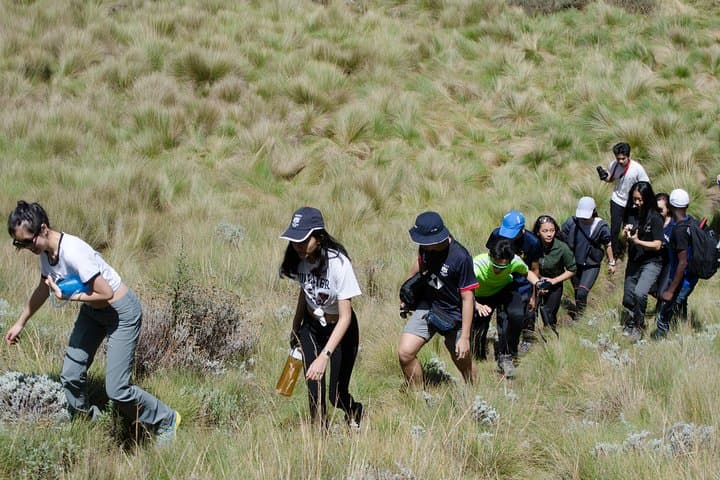 Kilimanjaro Marangu Route — 6-Day Guided Trek to Uhuru Peak photo 3