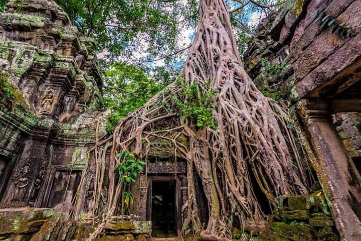 Angkor Wat Full-Day Small-Group Temple Tour — Angkor Wat, Bayon & Ta Prohm photo 5
