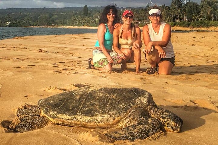 Oahu Circle-Island Jeep Tour: 8-Hour Waikiki to North Shore Highlights photo 2