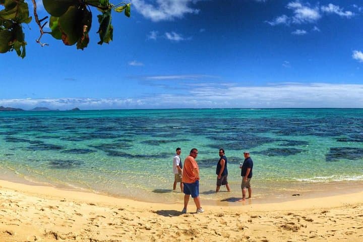 Oahu Circle-Island Jeep Tour: 8-Hour Waikiki to North Shore Highlights photo 3