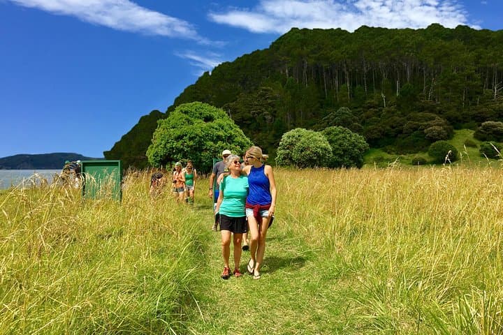 Hole in the Rock Cruise Bay of Islands: Snorkel, Island Hikes & Cape Brett Lighthouse photo 6