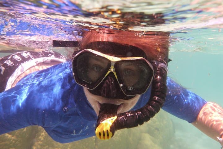 Bay of Islands Half-Day Cruise: Snorkel, Paddleboard & Island Lookouts photo 3