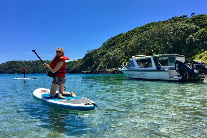 Bay of Islands Half-Day Cruise: Snorkel, Paddleboard & Island Lookouts photo 4