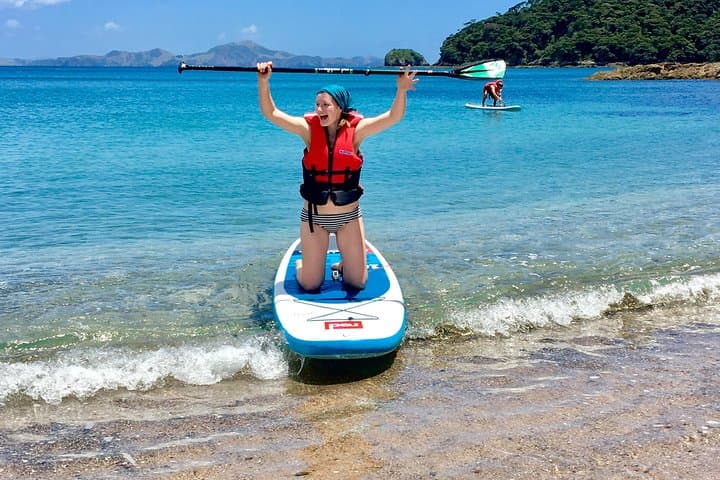 Bay of Islands Half-Day Cruise: Snorkel, Paddleboard & Island Lookouts photo 5