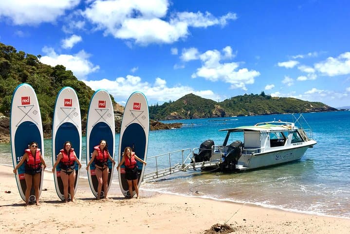 Bay of Islands Half-Day Cruise: Snorkel, Paddleboard & Island Lookouts photo 6