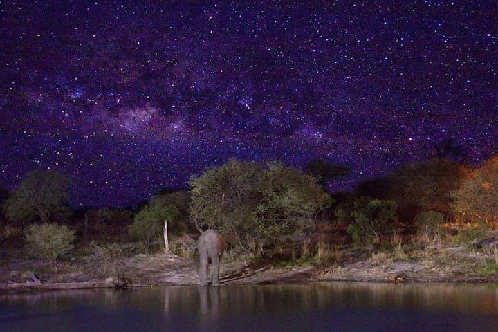 Stargazing with Wildlife near Harare: Night Sky Tour in The Wilderness