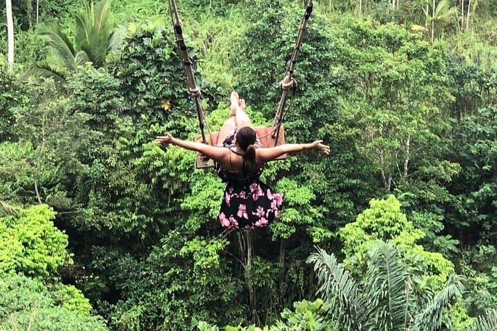 Nungnung Waterfall, Sangeh Village & Bali Swing: Ubud Day Tour Guide photo 1