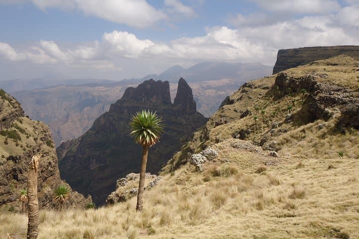 Simien Mountains Day Trek: Gelada Baboons & Escarpment Viewpoint photo 4