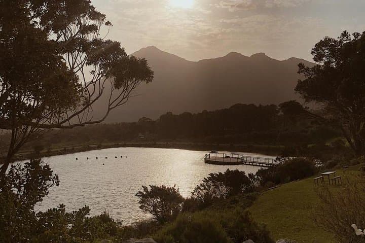 Cape Point & Boulders Beach Day Tour — Chapman’s Peak, Penguins & Vineyard Tasting photo 2