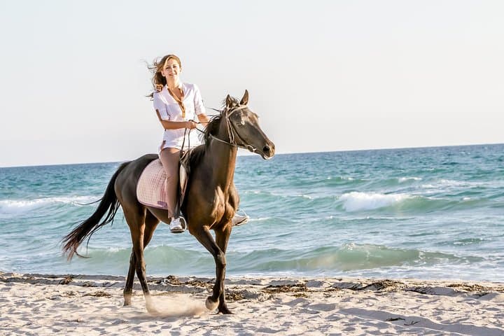 Pine-Forest Horseback Ride in Bodrum: 2-Hour Guided Trail with Hotel Transfer