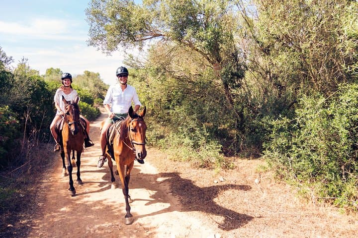Pine-Forest Horseback Ride in Bodrum: 2-Hour Guided Trail with Hotel Transfer photo 6