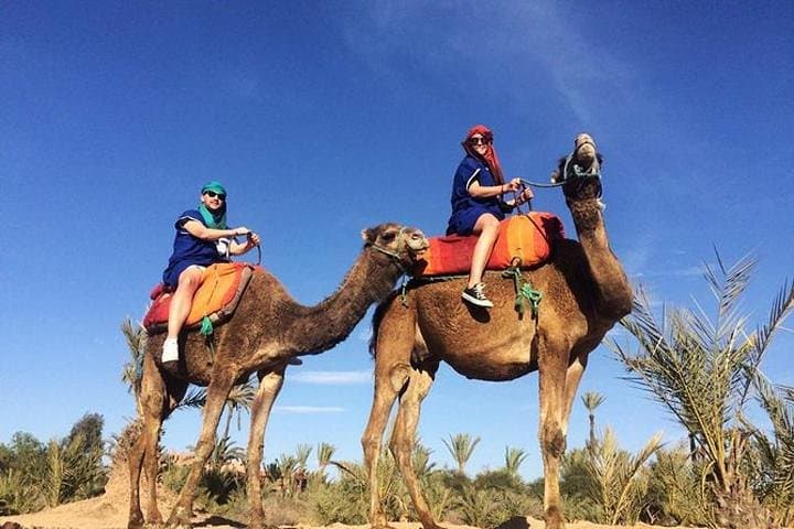 Sunset Camel Ride and Barbecue Tour in Agadir's Dunes photo 2
