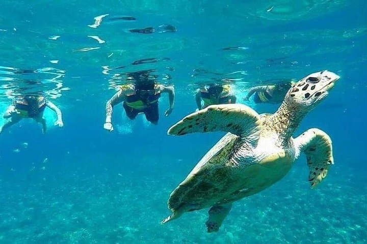 Gili Islands Snorkel Tour from Lombok — Turtles, Statues & Fish Gardens photo 1
