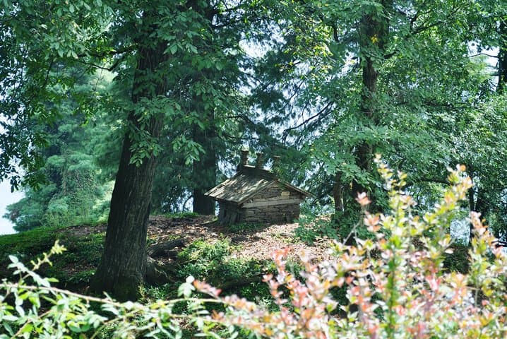 Manali Village Tour: Forest Hikes, Home Lunches & Overnight Camping